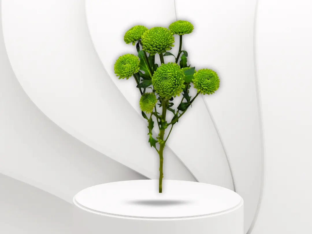 Green Creez Flower